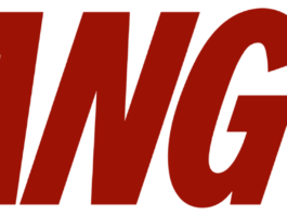 Alternative Investments In Africa: How To Earn From Transport And Car Sharing Alternative Investments In Africa: How To Earn From Transport And Car Sharing