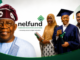 NELFUND Student Loan 2026: What Every Nigerian Student and Parent Needs to Know Right Now NELFUND Student Loan 2026 application portal and details